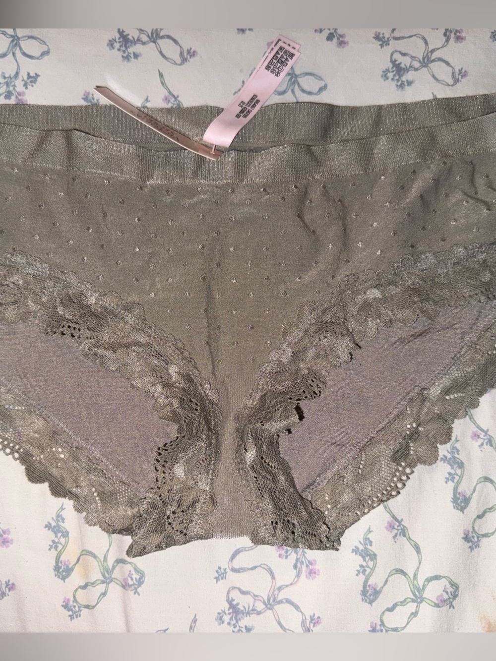 Victoria's Secret Lace-Trim Hipster Panty in Taupe